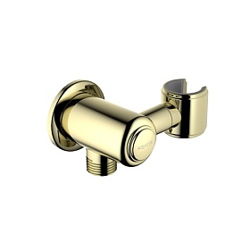 Шланговое подключение для душа с держателем для лейки Aquatek AQ2462PG латунь золото золото