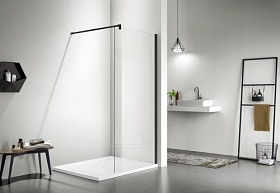 Душевая перегородка 80х200 Aquatek Walk In AQNAR6310-80 AQ WIW 08020BL Водяной