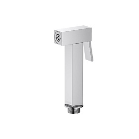Лейка гигиеническая Aquatek AQ2058CR латунь хром