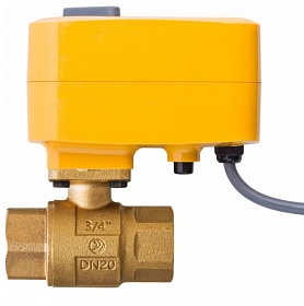 Электрокран Neptun 220В 3/4" Bronze Profi Special Edition 1419524