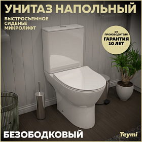 Унитаз-компакт напольный Teymi Ritta безободковый смыв сид.дюр. микролифт T40803