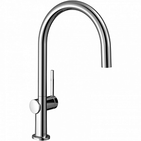 Смеситель для кухни (мойки) Hansgrohe Talis M54 1 jet 72804000 хром латунь